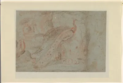 Park met een fontein met verschillende dieren