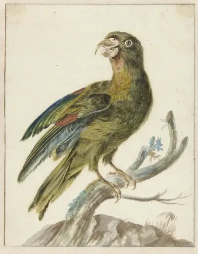 Parkiet