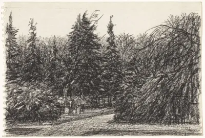 Parklandschap met paden