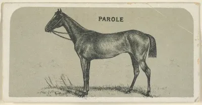 Parole, from the Race Horses series (N168) for Canvas Backs Cigarettes