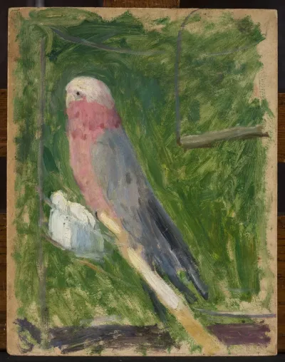 Parrot