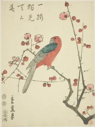 Parrot on plum branch