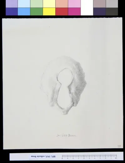 Part of a skull with a hole