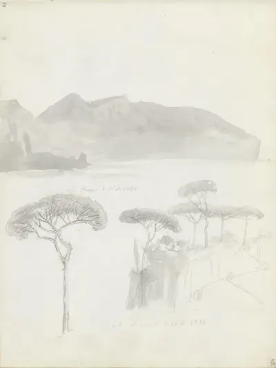Parti fra Capris nordkyst; pinjer, Sorrento