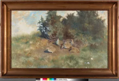 Partridges