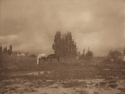 Pasadena Landscape