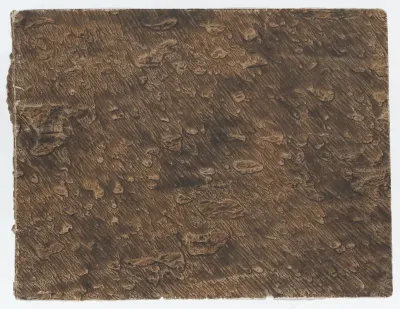 Paste paper with brown design