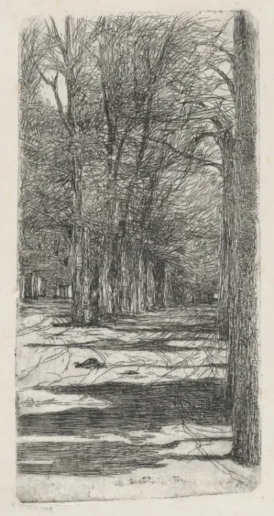 Path in Parco delle Cascine (Un viale interno delle Cascine)