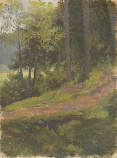 Path on the Edge of the Forest