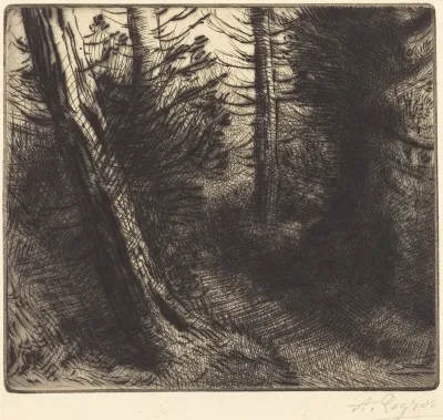 Path through the Woods (Sentier sous bois)