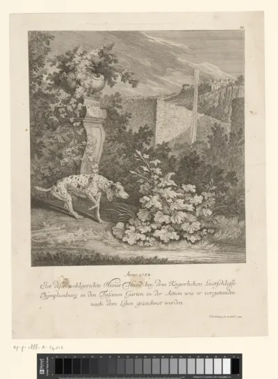 Patrijshond en patrijs in Nymphenburg