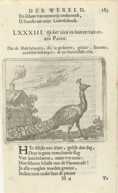 Pauw bij een huis