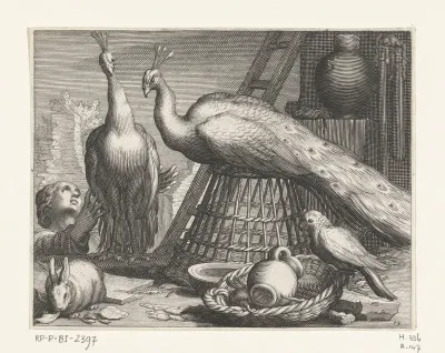 Pauwen