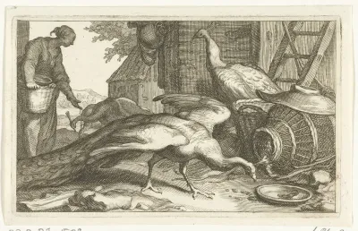 Pauwen op een boerenerf
