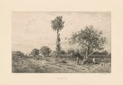 Paysage