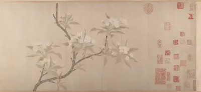 Pear Blossoms