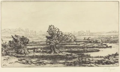 Peat-bogs (Les Tourbieres)