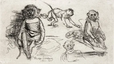 Pelle-apina