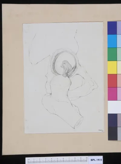 Pelvis: pubis