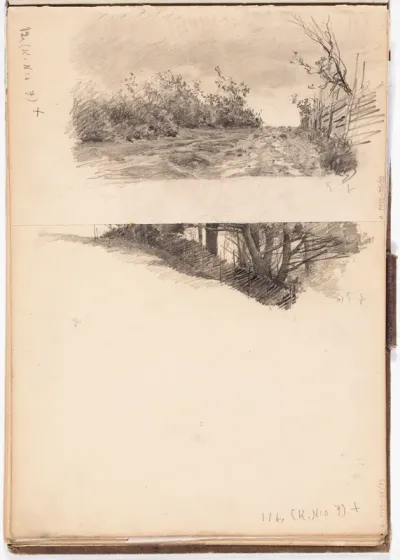 Pensaikkoa ja aita. Todennäk. 1880-luvun jälkipuol. Merk. oik.alh. E.J.