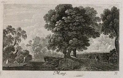 People rowing on a river overlooked by a large tree; representing May