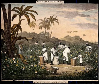 People with baskets and sacks pick cotton on a plantation