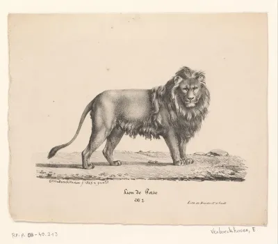 Perzische leeuw