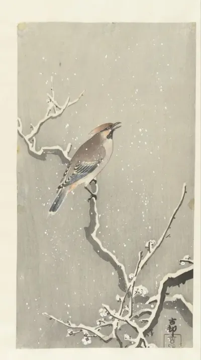 Pestvogel op besneeuwde tak