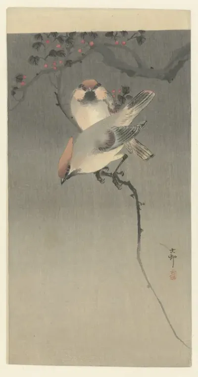 Pestvogels