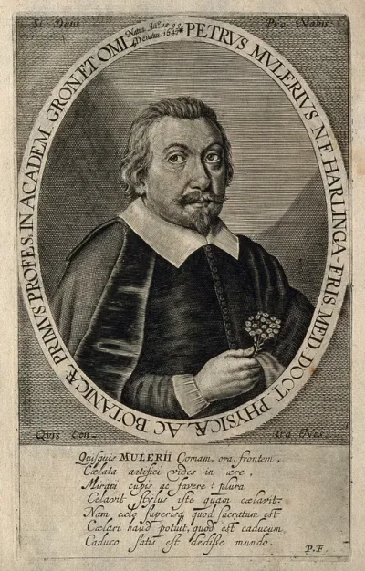 Petrus Mulerius