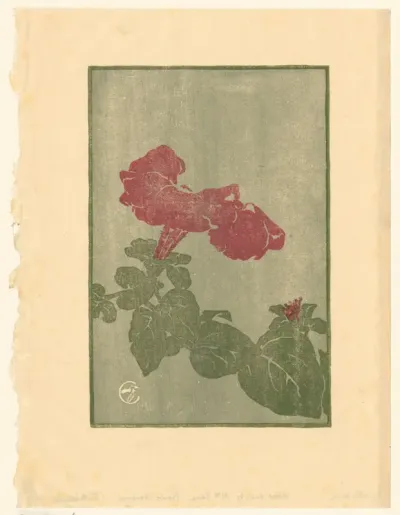 Petunia