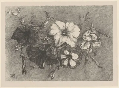 Petunia's