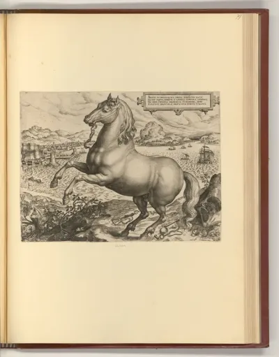 Pferd an Meeresküste