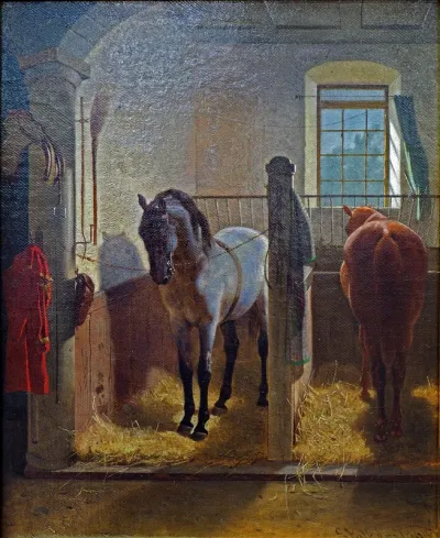 Pferde im Landgestüt-Stall