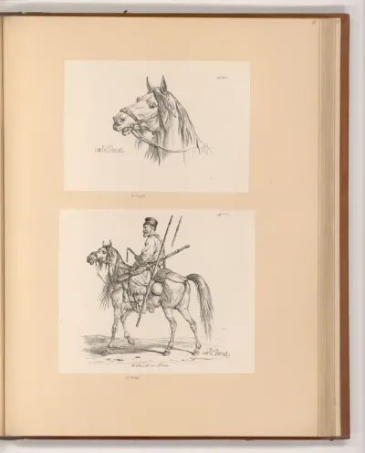 Pferdekopf; Kalmück zu Pferd