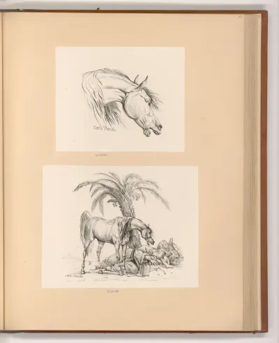 Pferdekopf; Pferd mit schlafendem Mann