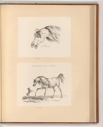 Pferdekopf; Pferd und Hund