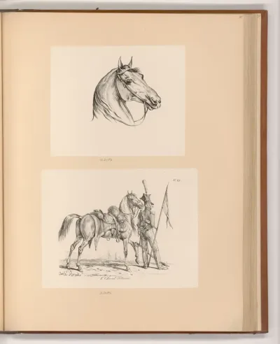 Pferdekopf; Pferd und Soldat