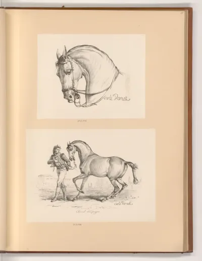 Pferdekopf; Pferd und spanischer Reiter