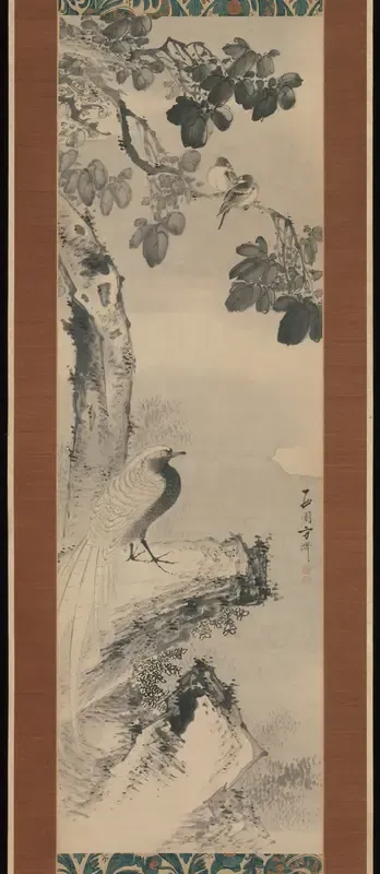 Pheasant beneath Paulownia Tree
