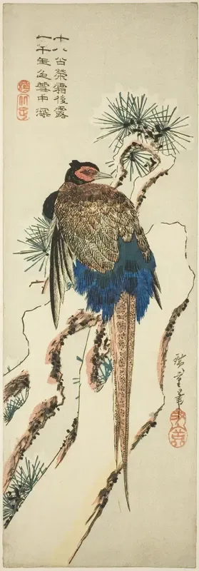Pheasant on a Snow-Covered Pine Tree