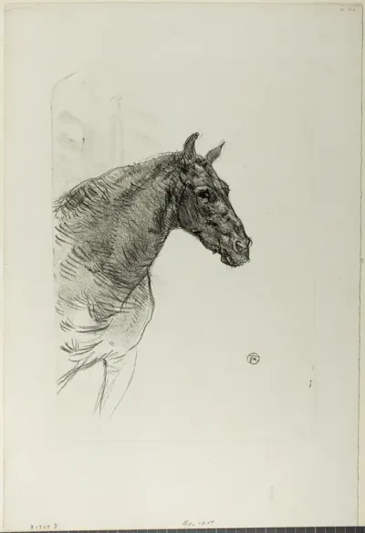 Philibert the Pony