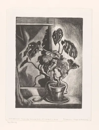 Philodendron in raamkozijn