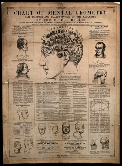 Phrenological chart; with design of head containing symbols of the phrenological faculties, and diagrams of heads showing criminal and moral propensities