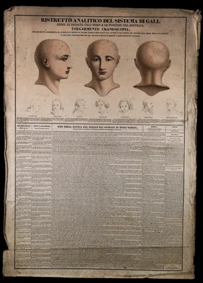 Phrenological chart with three figures of a head and sketches of the heads of famous men