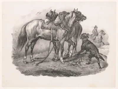 Picardische paarden