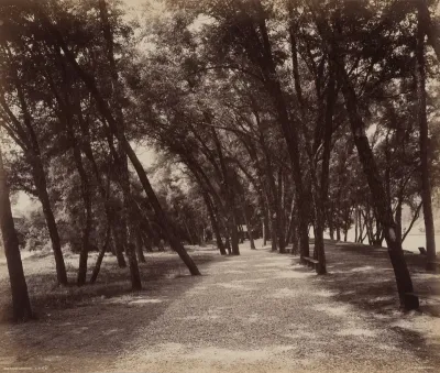 Picnic Grounds