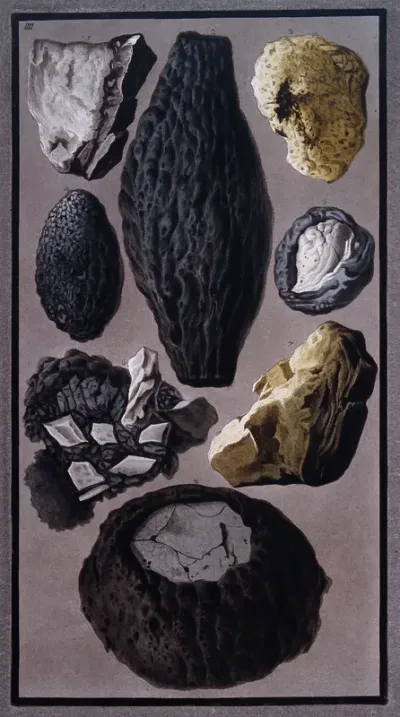 Pieces of lava and vitrified, flinty matter found after the eruption of Mount Vesuvius on 8 August 1779