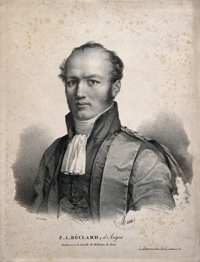 Pierre Auguste Béclard
