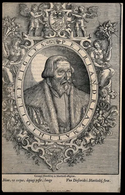 Pietro Andrea Mattioli